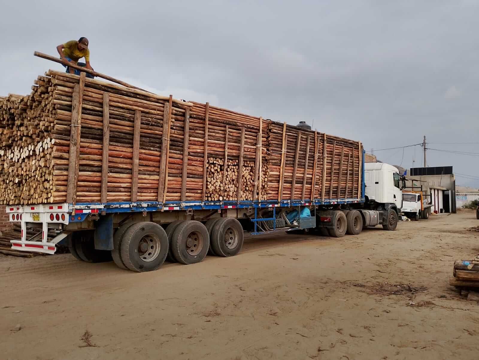 Carga de madera